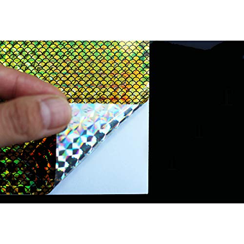 Tigofly 6 Stück 6 Farben 10 x 21 cm Holografischer Film Flash Laser künstliche Fischhaut DIY Jig Aufkleber Köder Aufkleber Fliegenbinden Materialien (Golden) Tigofly 6 Stück 6 Farben 10 x 21 cm Holografischer Film Flash Laser künstliche Fischhaut DIY Jig Aufkleber Köder Aufkleber Fliegenbinden Materialien (Golden) von Tigofly