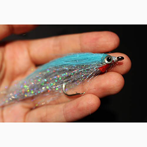 Tigofly Angelköder-Set, 10 Farben, 1/0, 4 cm, kohlenstoffreich, Holo, Silber, Lachs, Forelle, Meer, Barsch, Stahlkopf, Elritze, Fliegenfischen, Fliegenfischen, 10 Stück Tigofly Angelköder-Set, 10 Farben, 1/0, 4 cm, kohlenstoffreich, Holo, Silber, Lachs, Forelle, Meer, Barsch, Stahlkopf, Elritze, Fliegenfischen, Fliegenfischen, 10 Stück von Tigofly