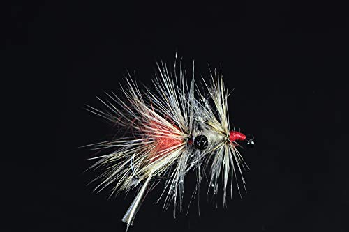 Tigofly Grizzly Shrimp Vaskebjørn Angelköder zum Fliegenfischen von Meerforellen, Größe 2# 4# 6# (4), 12 Stück Tigofly Grizzly Shrimp Vaskebjørn Angelköder zum Fliegenfischen von Meerforellen, Größe 2# 4# 6# (4), 12 Stück von Tigofly