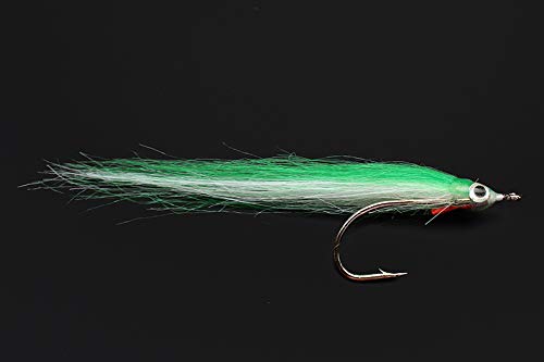 Tigofly Köder-Set, 12 Stück, 1/0 4 cm hoher Karbonhaken für Polar Fry Lachs Forelle Meerbarsch Stahlkopf Minnow Fliegen Angeln Köder Set, grün Tigofly Köder-Set, 12 Stück, 1/0 4 cm hoher Karbonhaken für Polar Fry Lachs Forelle Meerbarsch Stahlkopf Minnow Fliegen Angeln Köder Set, grün von Tigofly