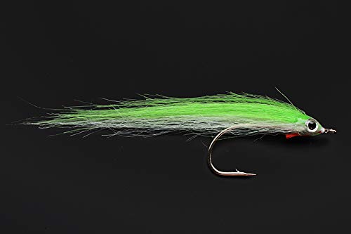 Tigofly Köder-Set, 12 Stück, 1/0 4 cm hoher Karbonhaken für Polar Fry Lachs Forelle Meerbarsch Stahlkopf Minnow Fliegen Angeln Köder Set, lichtgrün Tigofly Köder-Set, 12 Stück, 1/0 4 cm hoher Karbonhaken für Polar Fry Lachs Forelle Meerbarsch Stahlkopf Minnow Fliegen Angeln Köder Set, lichtgrün von Tigofly