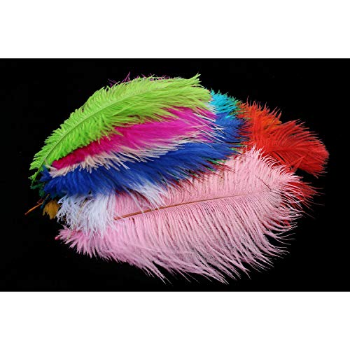 Tigofly Straußenfedern, 13 Farben, gefärbt, flauschig, für Fliegenfischen, Thorax-Kragen, Fliegenfischen, zum Binden, 13 pcs 13 colors Tigofly Straußenfedern, 13 Farben, gefärbt, flauschig, für Fliegenfischen, Thorax-Kragen, Fliegenfischen, zum Binden, 13 pcs 13 colors von Tigofly