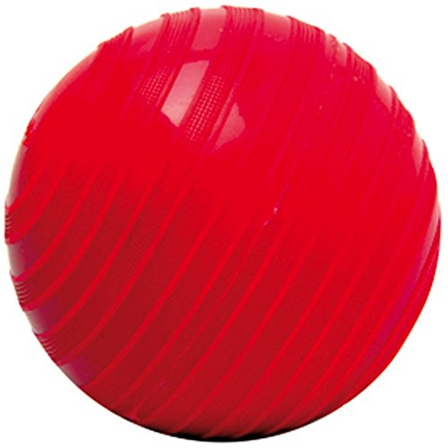 Togu Stonie Hantelball 0,5 Kg Rot Togu Stonie Hantelball 0,5 Kg Rot von Togu