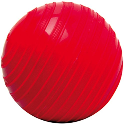 Togu Stonie Hantelball 1,0 Kg Rot Togu Stonie Hantelball 1,0 Kg Rot von Togu