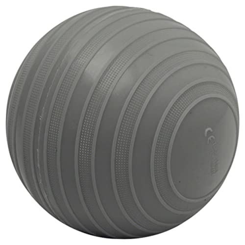 STONIE Hantelball 0,5 kg 1 St von Togu