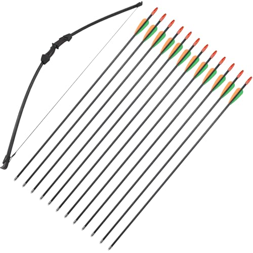 Pfeil und Bogen Set Takedown Recurvebogen und 12er Fiberglaspfeiles für Junior Jagd Anfänger Linke und rechte Hand Pfeil und Bogen Set Takedown Recurvebogen und 12er Fiberglaspfeiles für Junior Jagd Anfänger Linke und rechte Hand von Toparchery