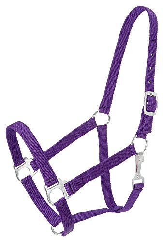 Tough 1 Economy Halfter, 50-1701-10-0, violett, Pferd Tough 1 Economy Halfter, 50-1701-10-0, violett, Pferd von Tough 1