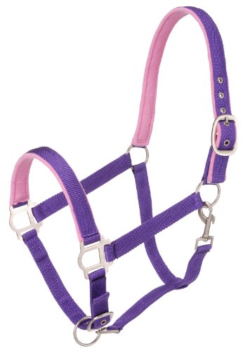 Tough 1 Gepolstertes Nylonhalfter mit Satin-Hardware, violett, Pferd Tough 1 Gepolstertes Nylonhalfter mit Satin-Hardware, violett, Pferd von Tough 1