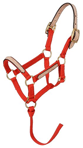 Tough 1 Mini-Halfter aus Nylon, zum Ausbrechen, Rot, groß Tough 1 Mini-Halfter aus Nylon, zum Ausbrechen, Rot, groß von Tough 1