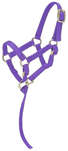 Tough 1 Miniatur-Halfter aus Nylon, Violett, groß Tough 1 Miniatur-Halfter aus Nylon, Violett, groß von Tough 1