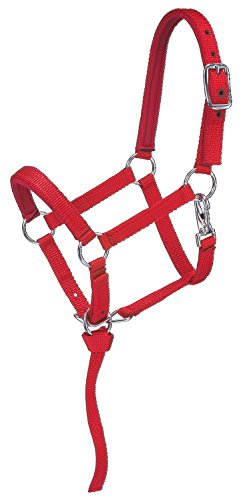 Tough 1 Miniatur Halfter aus Nylon, gepolstert, Rot, Größe S Tough 1 Miniatur Halfter aus Nylon, gepolstert, Rot, Größe S von Tough 1
