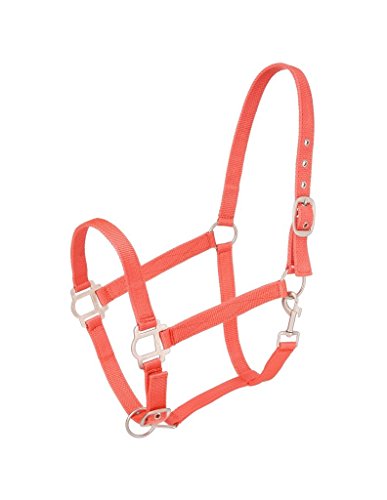 Tough 1 Nylon Halter with Satin Hardware, Orange, Horse Tough 1 Nylon Halter with Satin Hardware, Orange, Horse von Tough 1