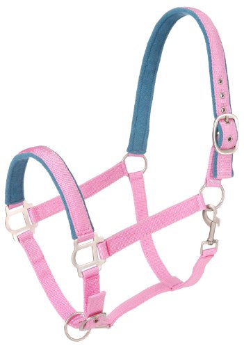 Tough 1 Nylon-gepolstertes Halfter mit Satin-Hardware, 50-2021-11-0, Rose, Pferd Tough 1 Nylon-gepolstertes Halfter mit Satin-Hardware, 50-2021-11-0, Rose, Pferd von Tough 1