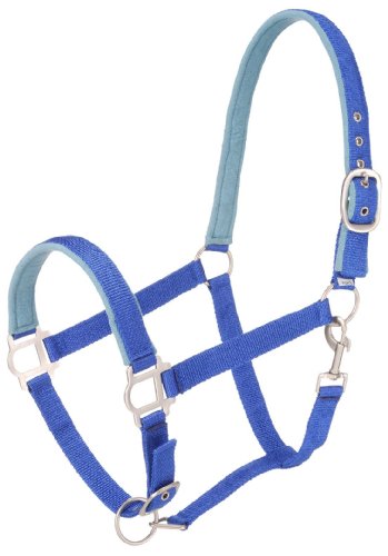 Tough 1 Nylon-gepolstertes Halfter mit Satin-Hardware, 50-2023-4-0, königsblau, Pony Tough 1 Nylon-gepolstertes Halfter mit Satin-Hardware, 50-2023-4-0, königsblau, Pony von Tough 1