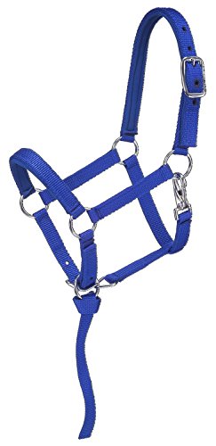 Tough 1 Nylon-gepolstertes Miniatur-Halfter, 50-750-4-101, Blau/Royal, Größe S Tough 1 Nylon-gepolstertes Miniatur-Halfter, 50-750-4-101, Blau/Royal, Größe S von Tough 1