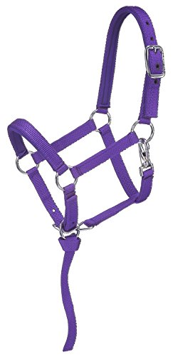 Tough 1 Nylon-gepolstertes Miniatur-Halfter, Violett, Größe M Tough 1 Nylon-gepolstertes Miniatur-Halfter, Violett, Größe M von Tough 1