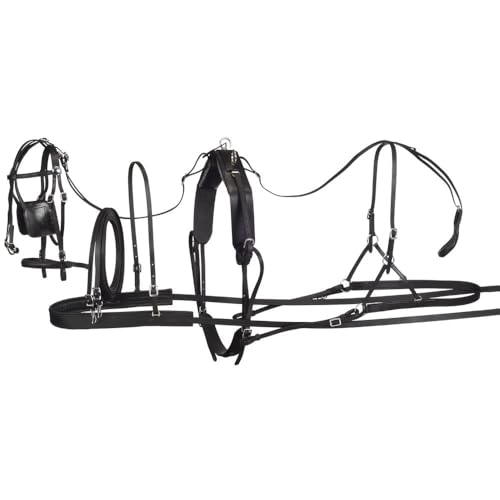 Tough 1 Robust 1 Leder Harness, 74-6911-0-0, Schwarz, Pferd Tough 1 Robust 1 Leder Harness, 74-6911-0-0, Schwarz, Pferd von Tough 1
