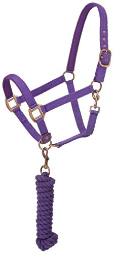 Tough 1 Robust 1 Neopren Gepolsterte Halfter mit Antik Hardware Set Leine, 50-2082-10-0, violett, Tough 1 Robust 1 Neopren Gepolsterte Halfter mit Antik Hardware Set Leine, 50-2082-10-0, violett, von Tough 1