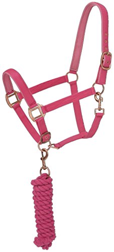 Tough 1 Robust 1 Neopren Gepolsterte Halfter mit Antik Hardware Set Leine, 50-2082-11-0, Rose, Tough 1 Robust 1 Neopren Gepolsterte Halfter mit Antik Hardware Set Leine, 50-2082-11-0, Rose, von Tough 1