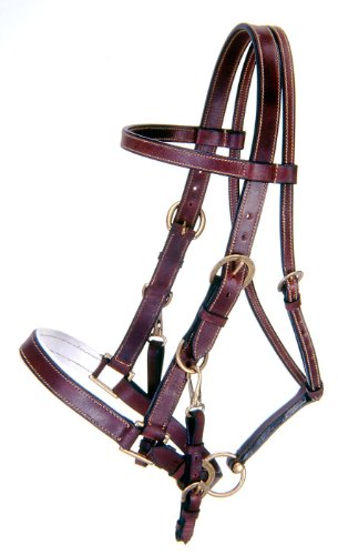 Tough 1 Australian Outrider Collection Lederhalfter, 73-9800-7-0, braun, Pferd Tough 1 Australian Outrider Collection Lederhalfter, 73-9800-7-0, braun, Pferd von Tough 1