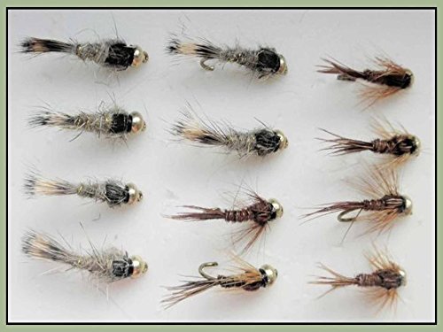 Gold Head Forellenfliegen, 12 Stück, Hasenohr & Fasanenschwanz Nymphe 10/12. von Troutflies Goldhead Nymphs