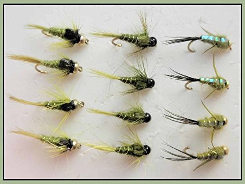 Gewichteter Trout Fliegen, 12 Stück Oliven, Evil Rüsselkäfer, Wolfram & GOLDHEAD, 10/12 von Troutflies Nymphs