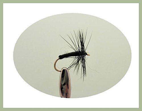 Dry schwarz Spider Angeln Fliegen, 12 Stück, verschiedene Größen 10 bis 20, für Fliegenfischen von Troutflies UK Dry Flies