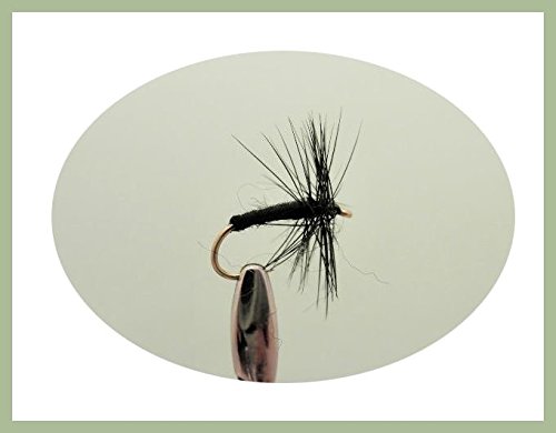 Dry schwarz Spider Angeln Fliegen, 12 Stück, verschiedene Größen 10 bis 20, für Fliegenfischen Dry schwarz Spider Angeln Fliegen, 12 Stück, verschiedene Größen 10 bis 20, für Fliegenfischen von Troutflies UK Dry Flies