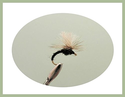 Klinkhammer Fliegenköder, 6 Stück, schwarz, Auswahl von Größen, zum Fliegenfischen Klinkhammer Fliegenköder, 6 Stück, schwarz, Auswahl von Größen, zum Fliegenfischen von Troutflies UK Dry Flies