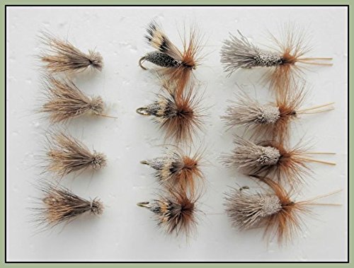 Sedge Forellenfliegen, 12 Stück, Elch, Hirschhaar, G & H Sedge, verschiedene Größen, Fliegenfischen (10/12) von Troutflies UK Ltd