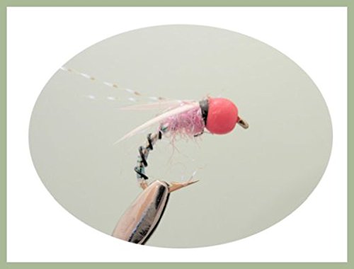 Troutflies UK Ltd Hothead UV-Bumzzer für Angelfliegen, Rosa, 6 Stück Verschiedene Größen, 84/5, All Mixed von Troutflies UK Ltd