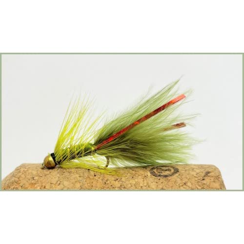 Flash Damsel Forelle Fliegen, 6 pro Pack, Mini GOLDHEAD Olive rot Flash, Größe 12 Flash Damsel Forelle Fliegen, 6 pro Pack, Mini GOLDHEAD Olive rot Flash, Größe 12 von Troutflies UK Lures
