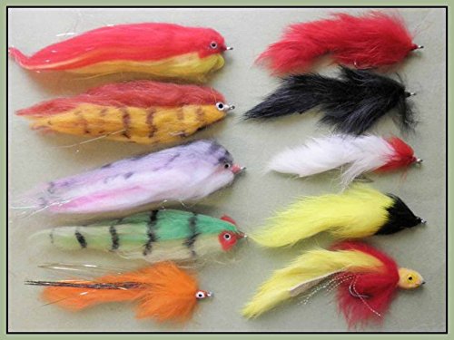Hecht Angeln Fliegen, 10 Stück, Mixed Patterns, Größe 1/0 & 2/0, Pike Fly Angeln Hecht Angeln Fliegen, 10 Stück, Mixed Patterns, Größe 1/0 & 2/0, Pike Fly Angeln von Troutflies UK Lures