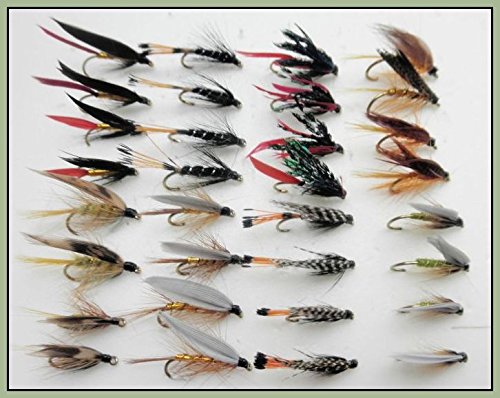 Loch Angeln Fliegen, 32 Wet Fliegen, Sorten benannt, verschiedene Größen, für Fliegenfischen von Troutflies UK Wet Variety Packs