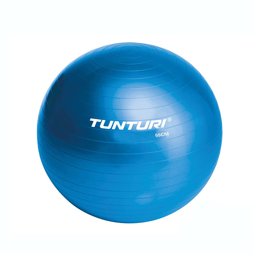 Tunturi Gym Ball Fitball Blau 90 cm von Tunturi
