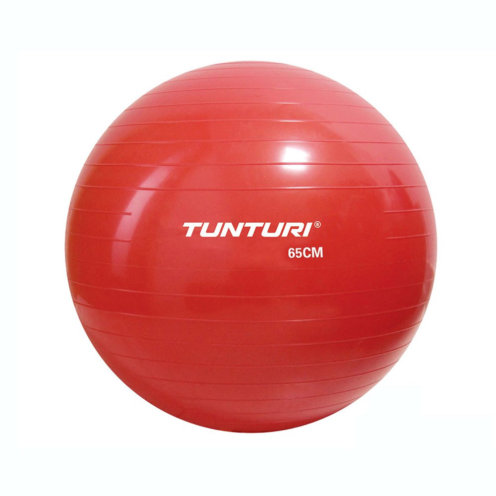 Tunturi Gym Ball Fitball Rot 65 cm von Tunturi