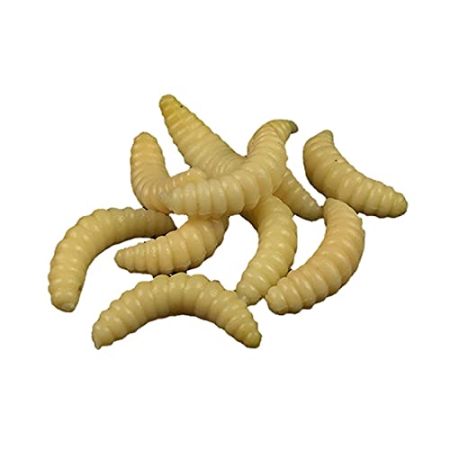 U-K 100 STÜCKE Gelb Simulation Angelköder Bionische Brotwanze 2,4 cm 0,5 g Weiche Lebensechte Köder Maden Grub Worms AngelgerätPractical Design and Durable U-K 100 STÜCKE Gelb Simulation Angelköder Bionische Brotwanze 2,4 cm 0,5 g Weiche Lebensechte Köder Maden Grub Worms AngelgerätPractical Design and Durable von U-K