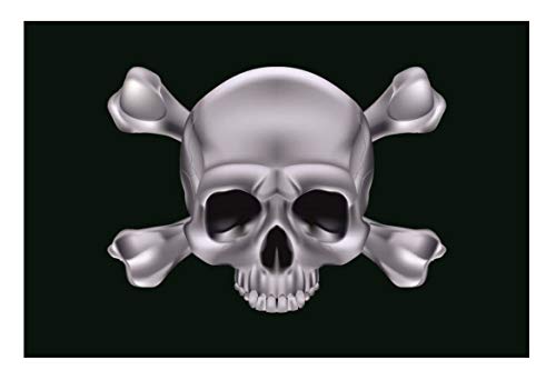U24 Motorradflagge Pirat Skull Bones Silber Fahne Flagge 20 x 30 cm von U24