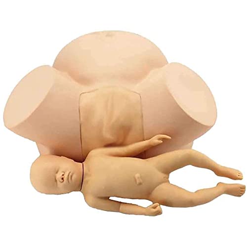 UIGJIOG Geburtssimulator Dystokie Frauengeburt Demonstrationsmodell Hebammenausbildungsmodell für medizinische Gynäkologie -Lehre anatomische Modell Standard Fetus 51x25x37cm von UIGJIOG
