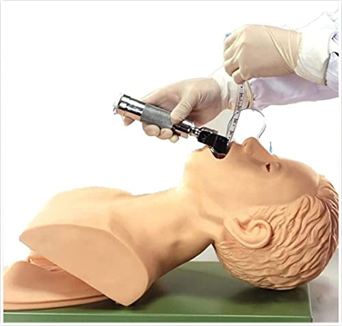 UIGJIOG Trachealintubationssimulator-Modus Intubationspuppe Schulungsdemo Atemwegsmanagement-Trainer-Trainingsmodell UIGJIOG Trachealintubationssimulator-Modus Intubationspuppe Schulungsdemo Atemwegsmanagement-Trainer-Trainingsmodell von UIGJIOG