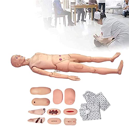 UIGJIOG Trainingsmodell des Multifunktions -Pflegepersonals Human Body Model Real Male Nursing Training Modell Puppenmodell Medizinisches Training Gemeinsamer Medizinische Lernlabor 170㎝ von UIGJIOG