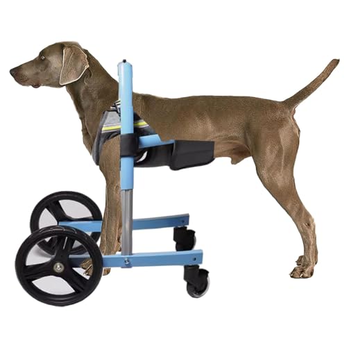 UIHECTA Hunderollstuhl FüR Die Vorderbeine, Verstellbare MobilitäTshilfen FüR Hunde, RollstüHle FüR Behinderte Hunde Zum Gehen, Rehabilitationswagen FüR Haustiere,Blau,XL von UIHECTA