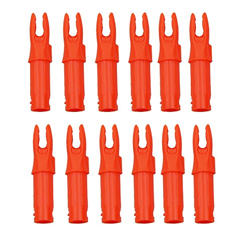 UP100 50 Stück Bogenschießen Pfeil Nocke Innen Für Welle Innendurchmesser 6,2 mm Orange UP100 50 Stück Bogenschießen Pfeil Nocke Innen Für Welle Innendurchmesser 6,2 mm Orange von UP100