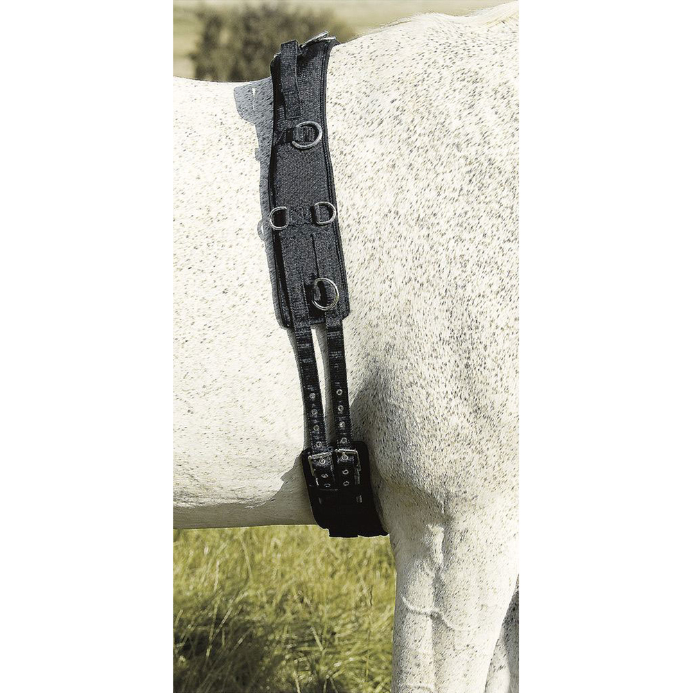 USG Longiergurt Neopren mit Handschlaufen USG Longiergurt Neopren mit Handschlaufen von USG