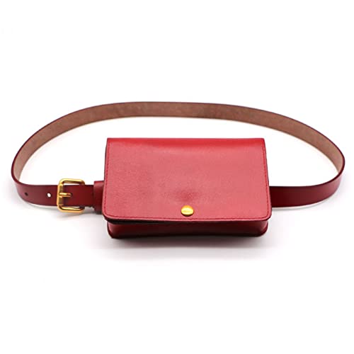 Mini-Hüfttasche für Damen Retro Simple Glossy Leather Waistpack Einkaufsführer for Damen Kleine Tasche for Wechseln der Handytasche(2) von UYSZHKHL