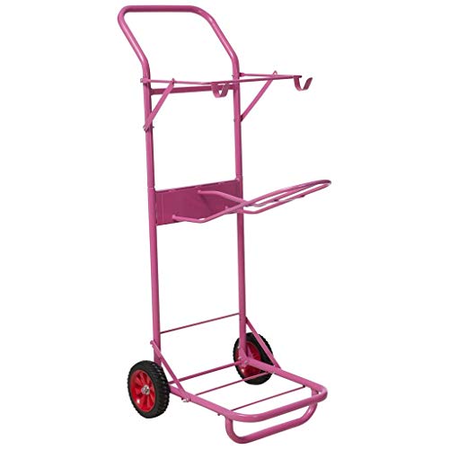 Chariot Porte Sattel, Rose, Standard von Unbekannt