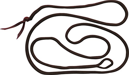 Ethologische Longe, braun Ethologische Longe, braun von EKKIA