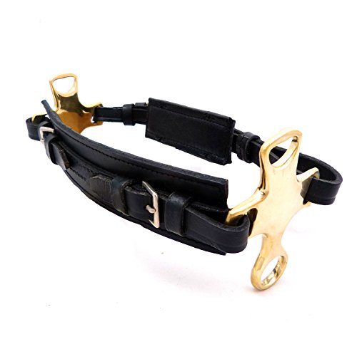 Unbekannt Hackamore mit kurzem Hebel - Reithalfter aus Leder mit Messingbeschlag - Unisize Unbekannt Hackamore mit kurzem Hebel - Reithalfter aus Leder mit Messingbeschlag - Unisize von Unbekannt
