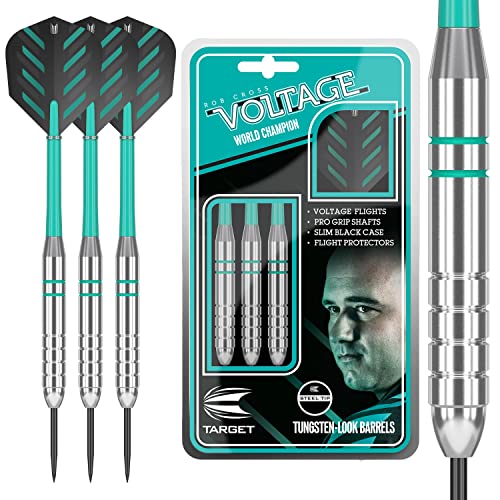 Target Dartpfeile Rob Cross Silber Spannung 24 G Messing Stahlspitze Dart-Set von Target Darts