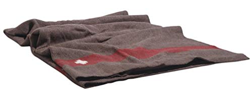 Mil-Tec Unisex – Erwachsene 91441670-Wolldecke Wolldecke, Braun, 200X140 Mil-Tec Unisex – Erwachsene 91441670-Wolldecke Wolldecke, Braun, 200X140 von Mil-Tec
